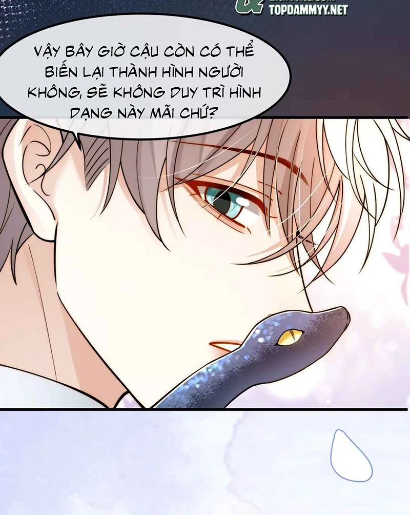 Tiêu Rồi, Sau Khi Bị Đánh Dấu Sinh Trứng Rắn Rồi Chapter 11 - 40