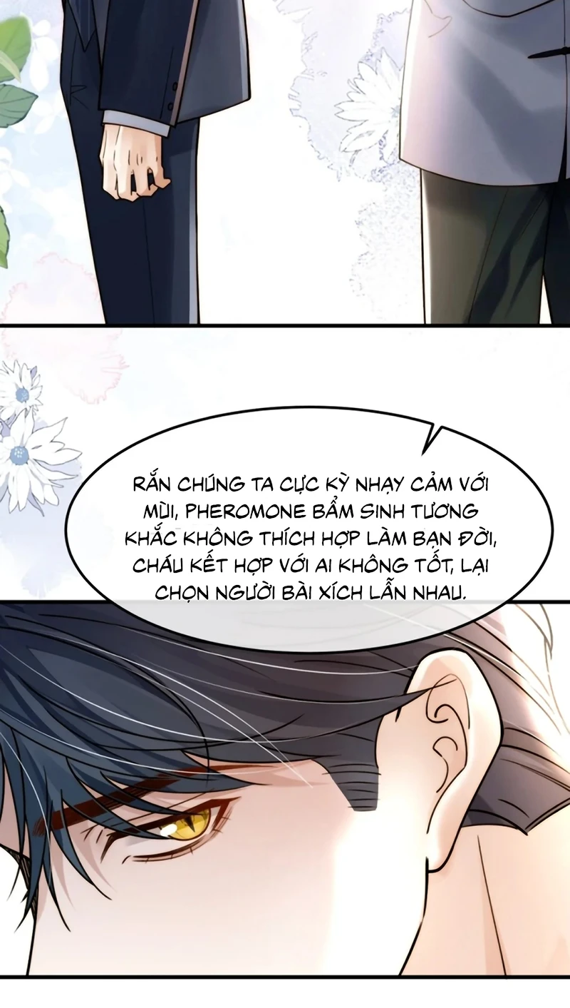 Tiêu Rồi, Sau Khi Bị Đánh Dấu Sinh Trứng Rắn Rồi Chapter 12 - 17