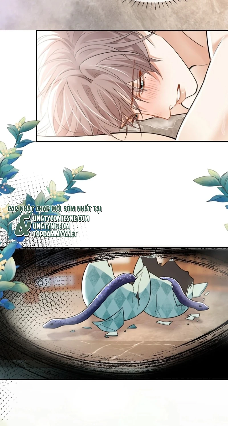 Tiêu Rồi, Sau Khi Bị Đánh Dấu Sinh Trứng Rắn Rồi Chapter 21 - 19