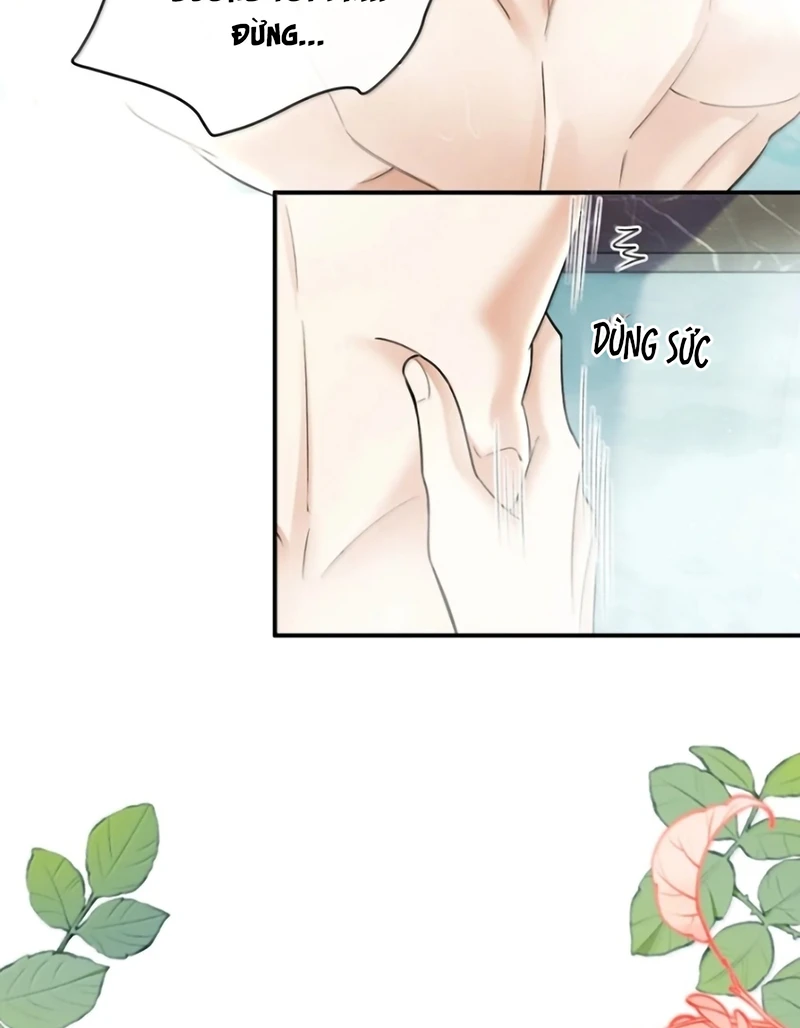 Tiêu Rồi, Sau Khi Bị Đánh Dấu Sinh Trứng Rắn Rồi Chapter 21 - 25