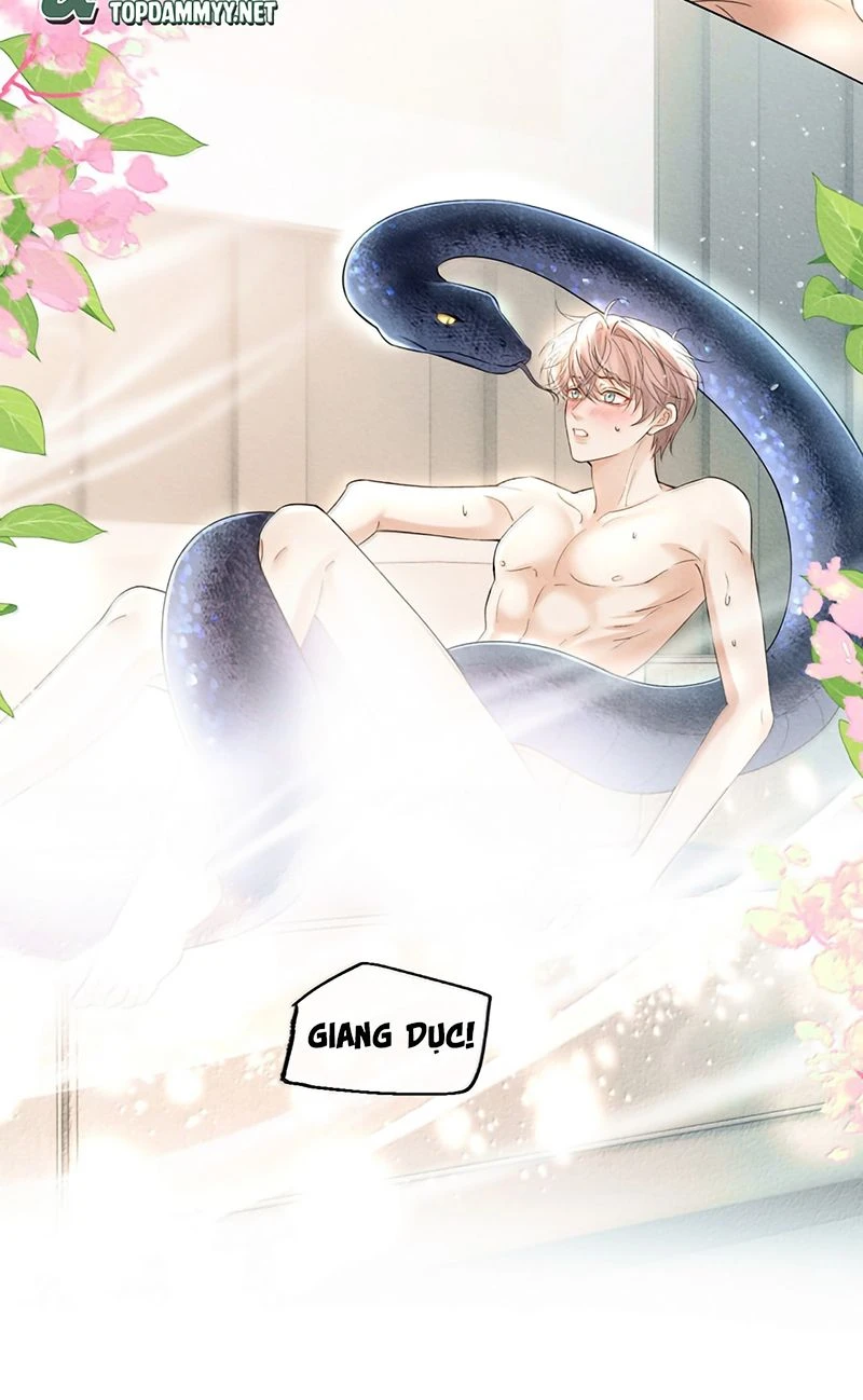 Tiêu Rồi, Sau Khi Bị Đánh Dấu Sinh Trứng Rắn Rồi Chapter 30 - 34