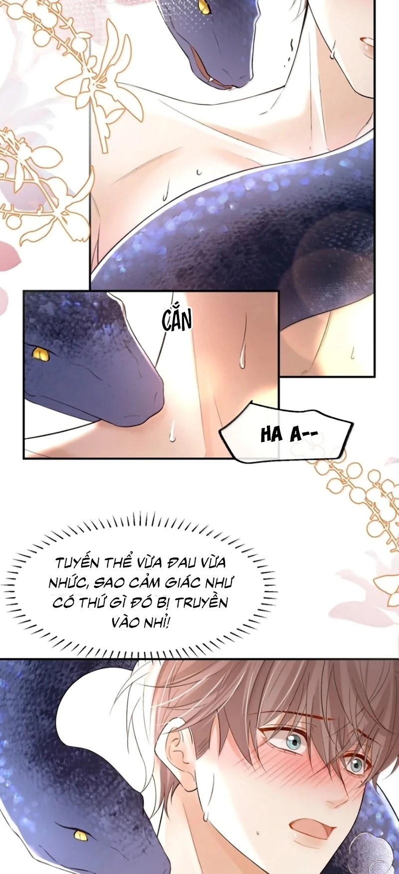 Tiêu Rồi, Sau Khi Bị Đánh Dấu Sinh Trứng Rắn Rồi Chapter 31 - 5