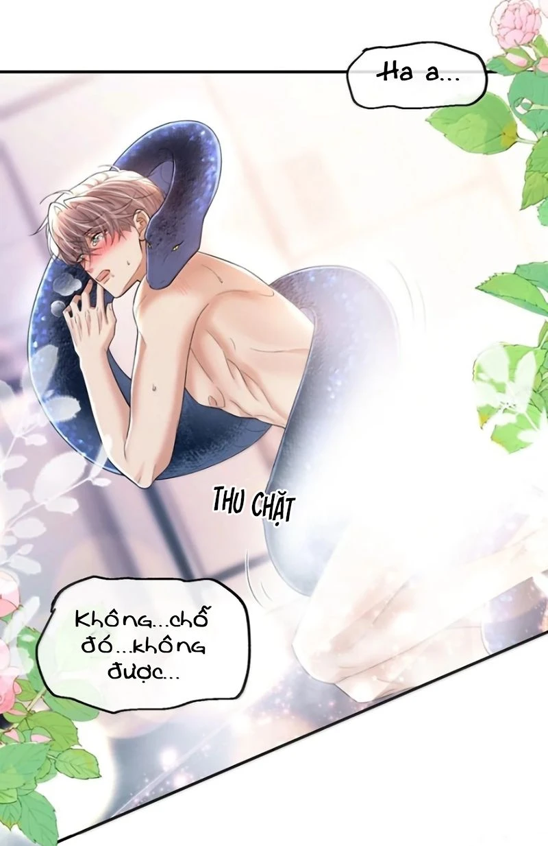 Tiêu Rồi, Sau Khi Bị Đánh Dấu Sinh Trứng Rắn Rồi Chapter 31 - 14