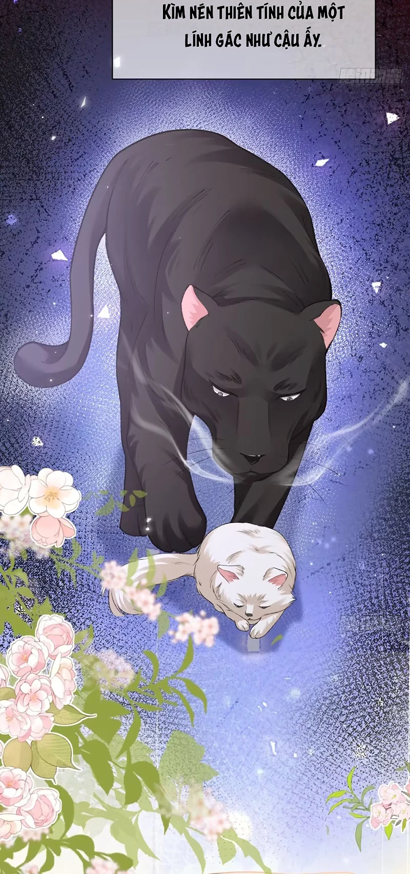 Chim Trong Lồng Chapter 26 - 11