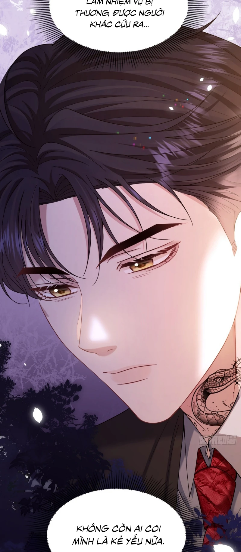 Tôi Cố Ý Giả Vờ Chapter 17 - 18