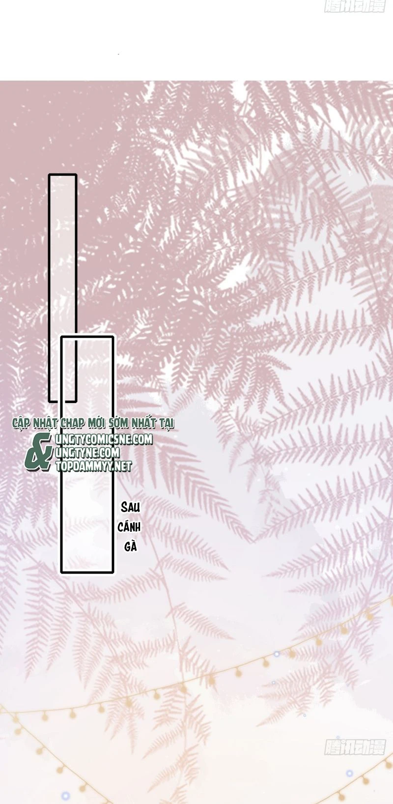 Tôi Cố Ý Giả Vờ Chapter 29 - 3