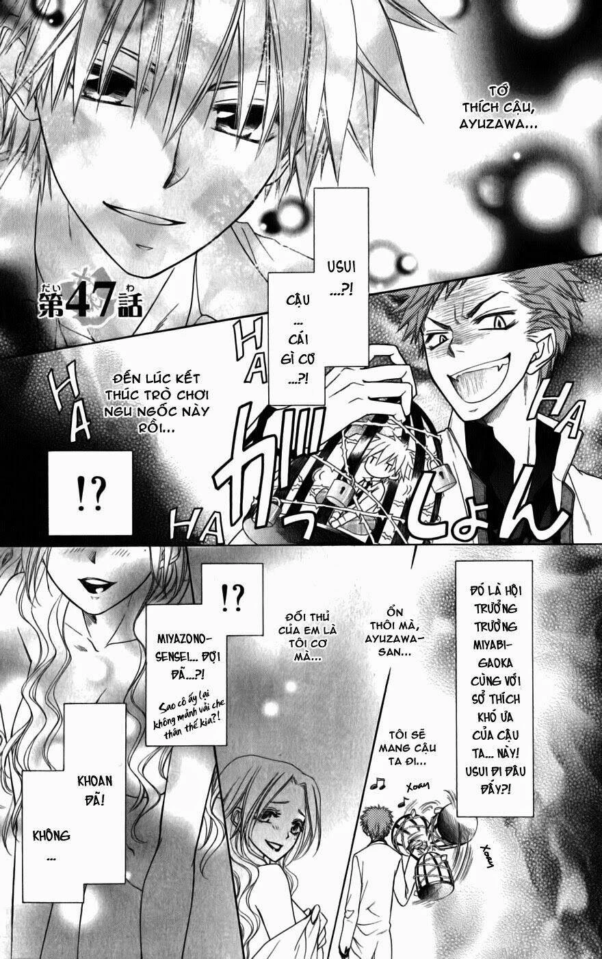 Khi sếp là hầu bàn Chapter 47 - 5