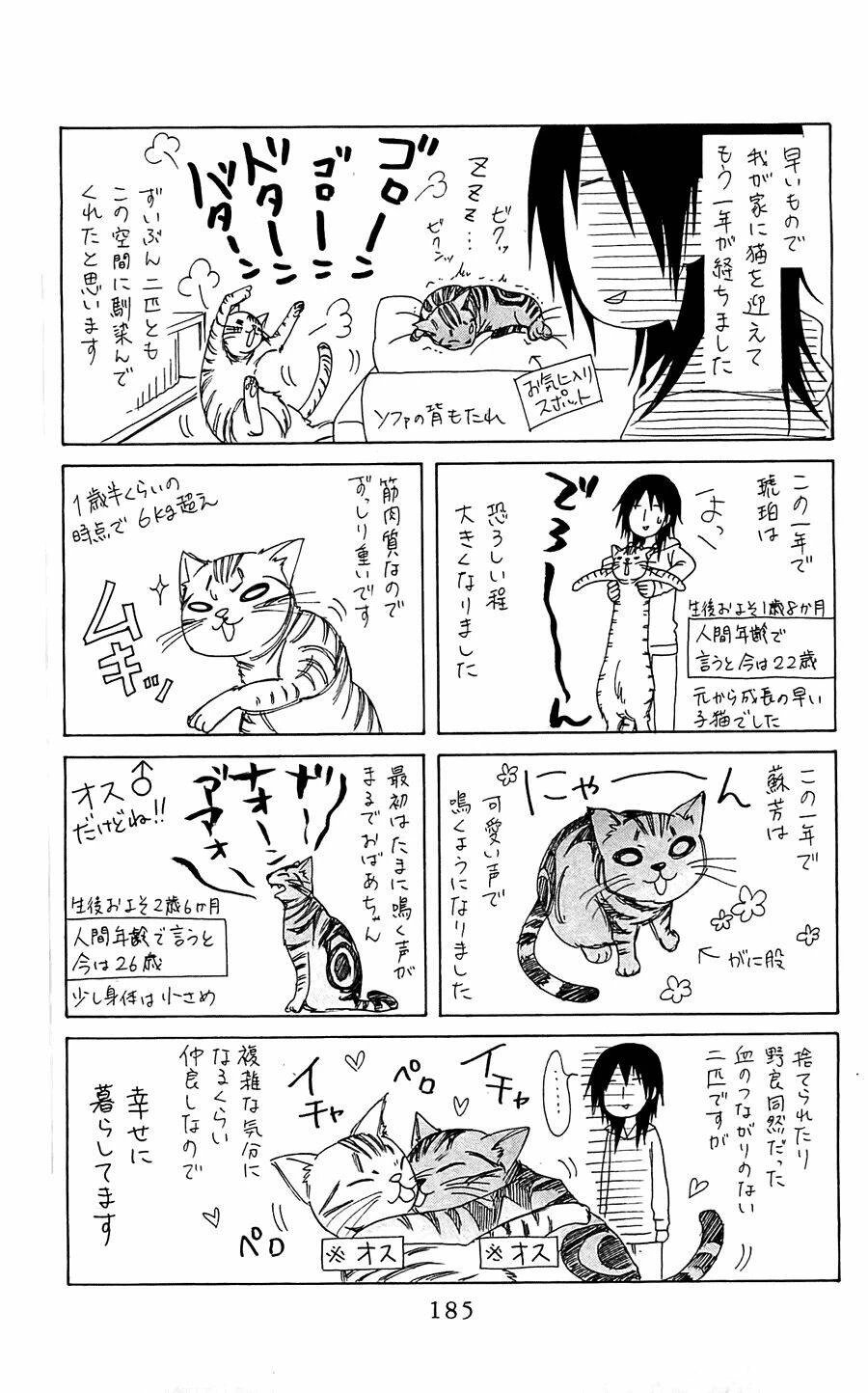 Khi sếp là hầu bàn Chapter 65 - 33