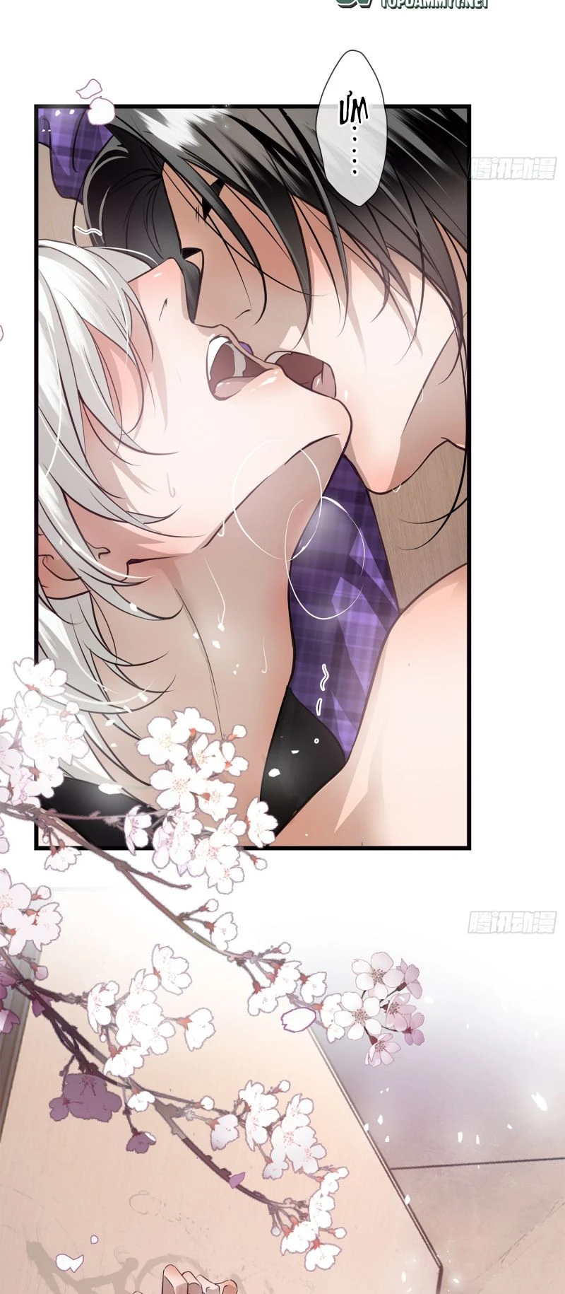 Gặp Tuyết Giữa Hạ Chapter 2 - 26