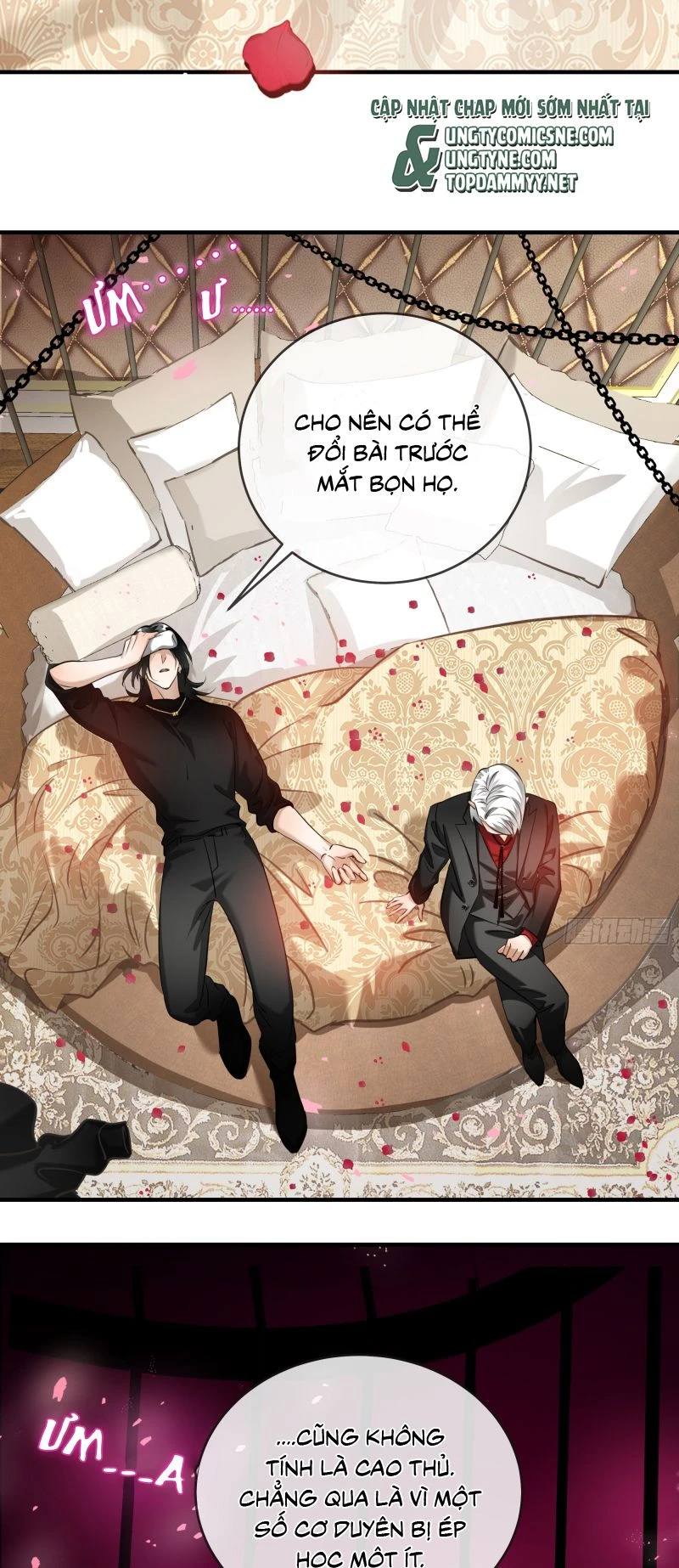 Gặp Tuyết Giữa Hạ Chapter 6 - 11