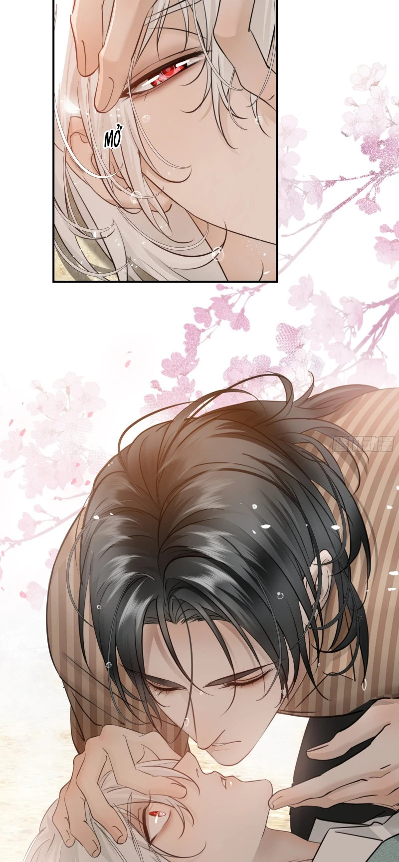 Gặp Tuyết Giữa Hạ Chapter 15 - 13