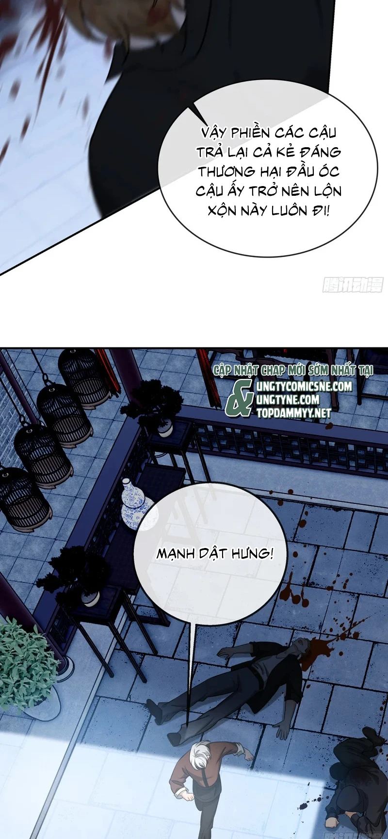 Gặp Tuyết Giữa Hạ Chapter 26 - 31