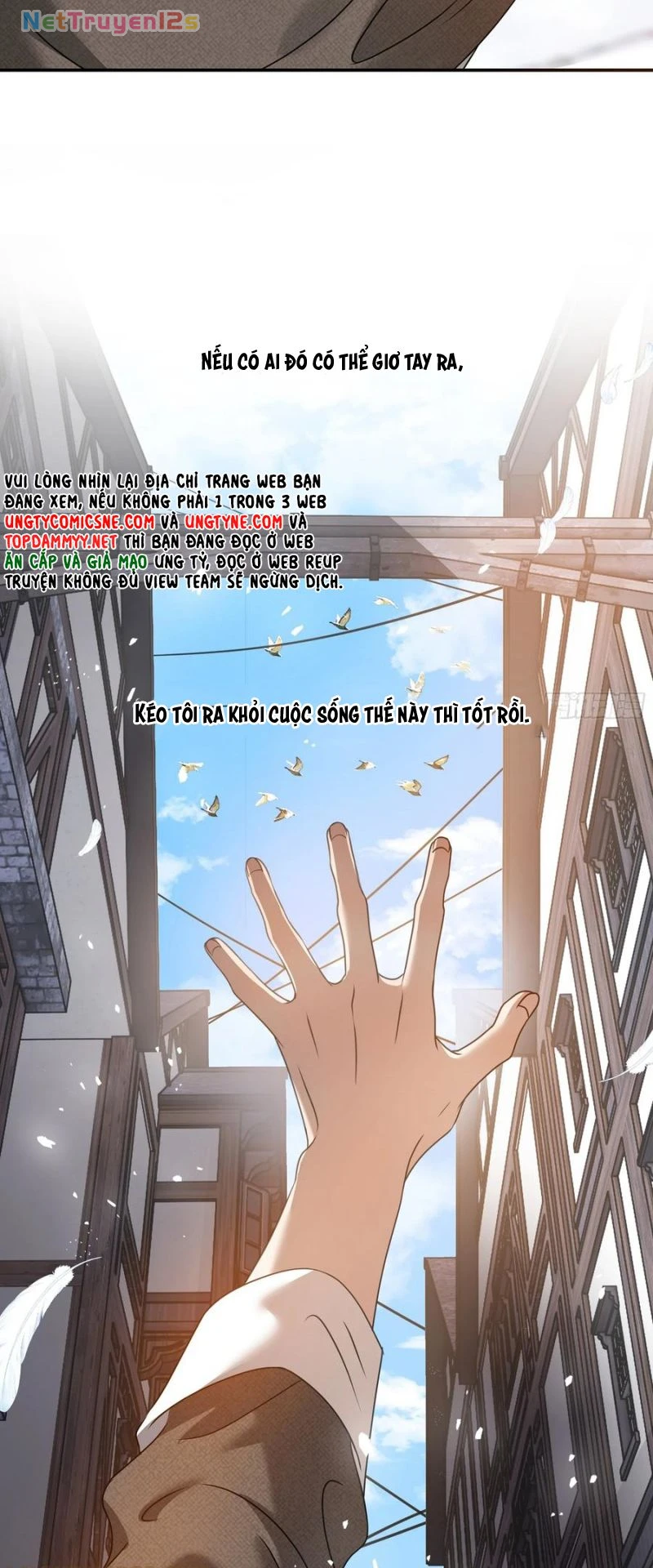 Gặp Tuyết Giữa Hạ Chapter 43 - 20