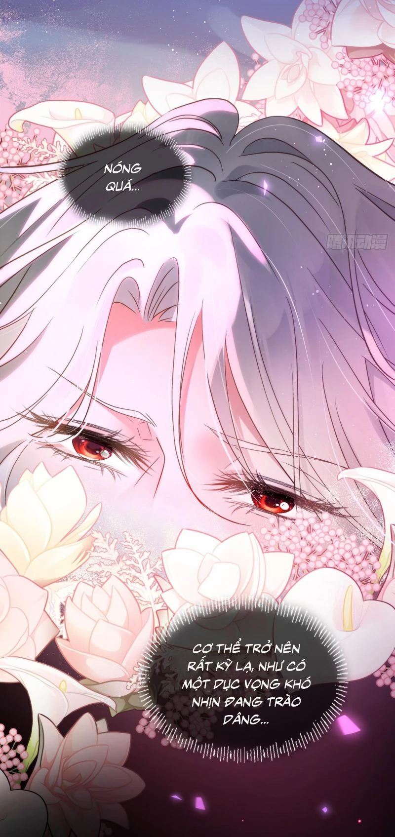 Sau Khi Bị Bạo Quân Quân Phu Cường Chiếm Chapter 1 - 16