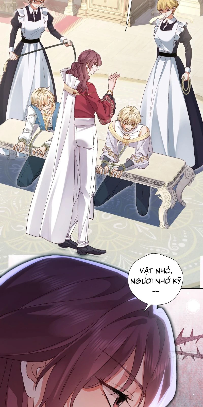 Sau Khi Bị Bạo Quân Quân Phu Cường Chiếm Chapter 3 - 19