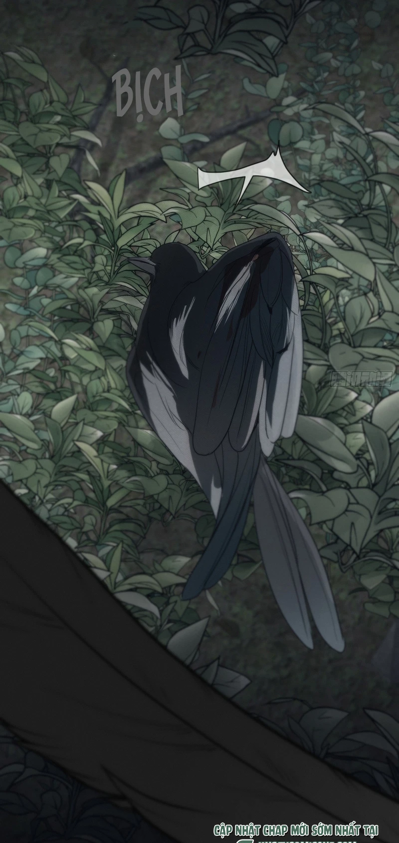 Mồi Nhử Chapter 12 - 52