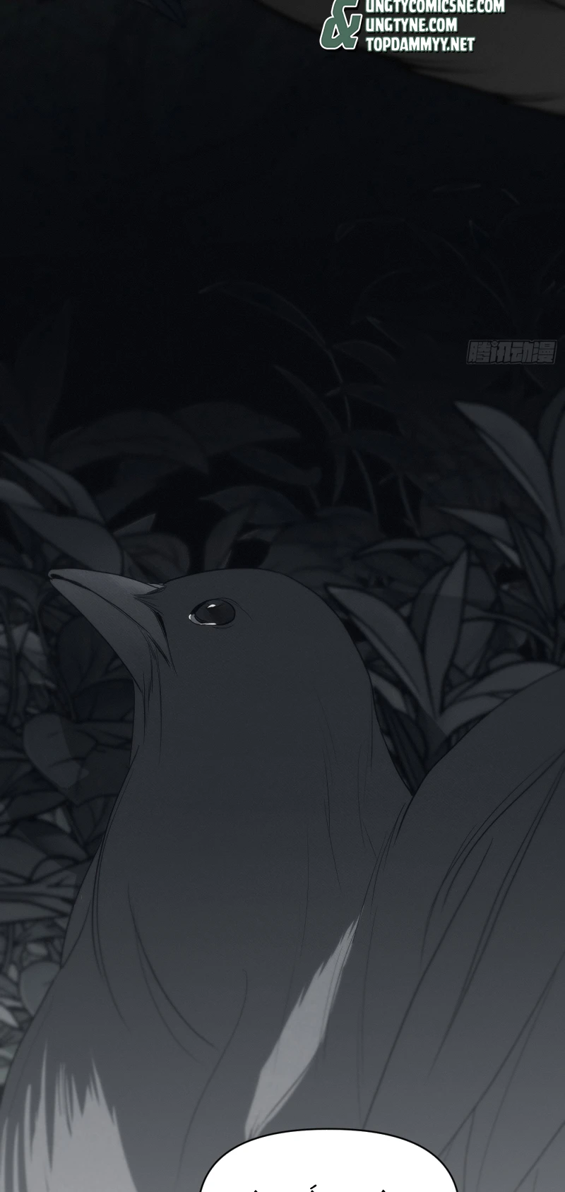 Mồi Nhử Chapter 12 - 53