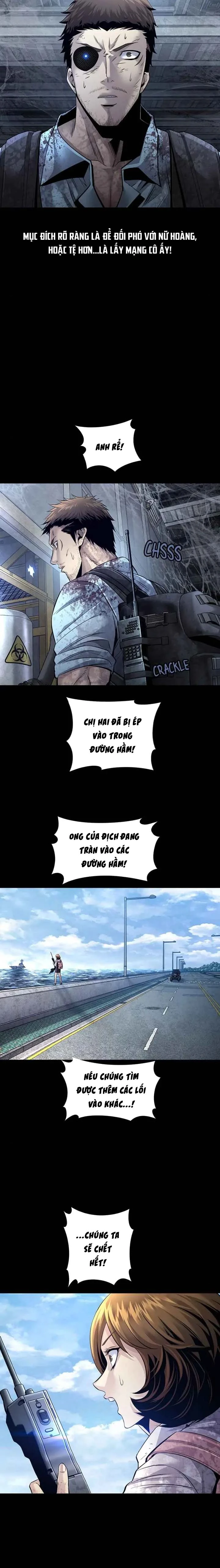 Dead Queen Chapter 101 - 11