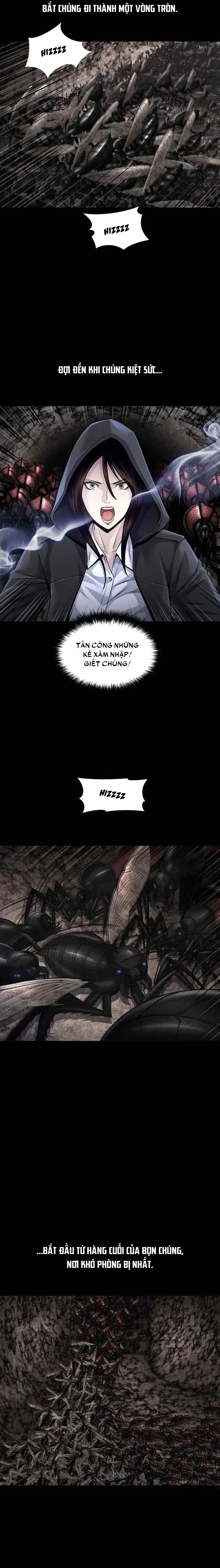 Dead Queen Chapter 102 - 10