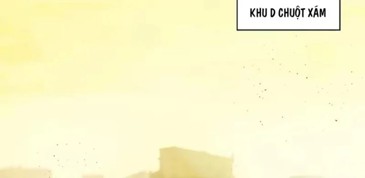 Thương Nhân Buôn Lậu Thời Mạt Thế: Ta Dùng Que Cay Đổi Vàng Thỏi Chapter 22 - 2