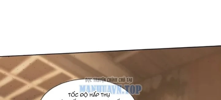 Thương Nhân Buôn Lậu Thời Mạt Thế: Ta Dùng Que Cay Đổi Vàng Thỏi Chapter 29 - 67