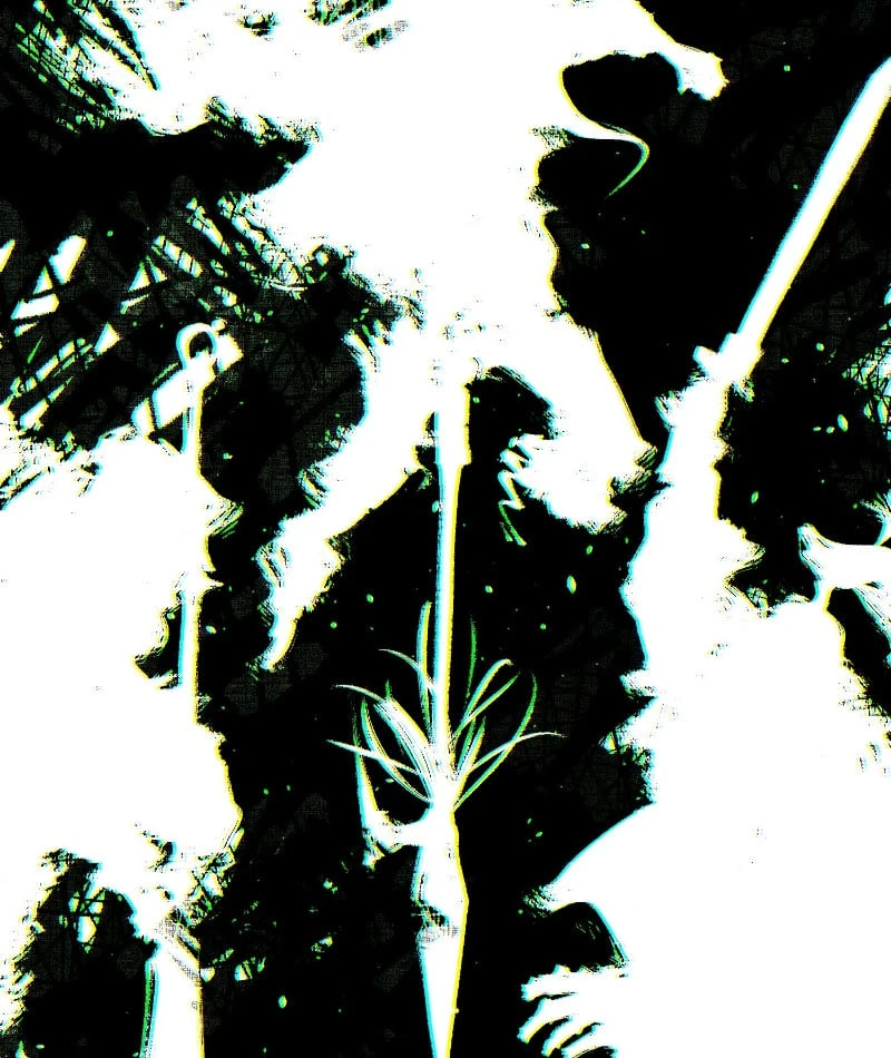 Nhất Mục Giang Hồ Chapter  2 - 81