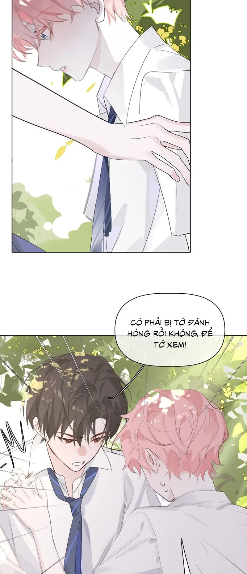 Thỏa Thuận Trước Khi Ngủ Chapter 1 - 20