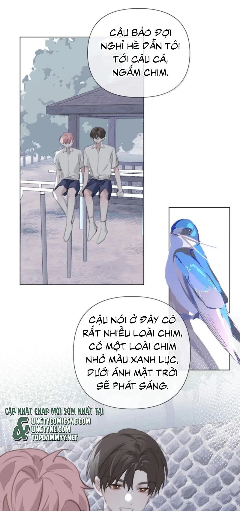 Thỏa Thuận Trước Khi Ngủ Chapter 37 - 23