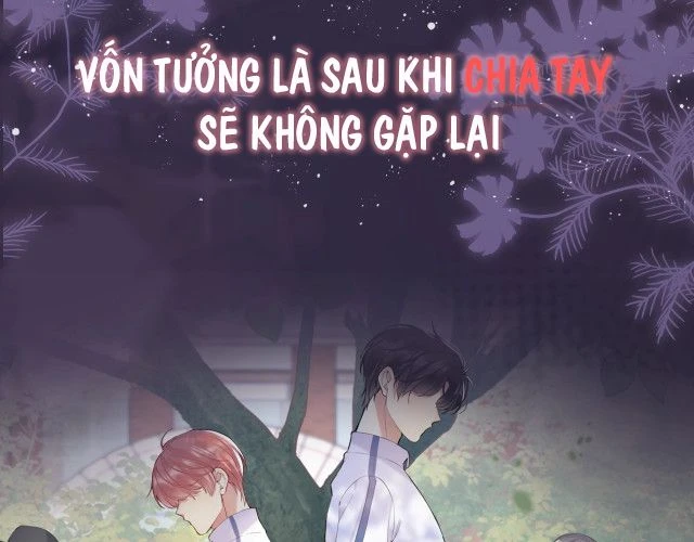 Lại Bị Bạn Trai Cũ Nhắm Đến Rồi Chapter 0 - 11