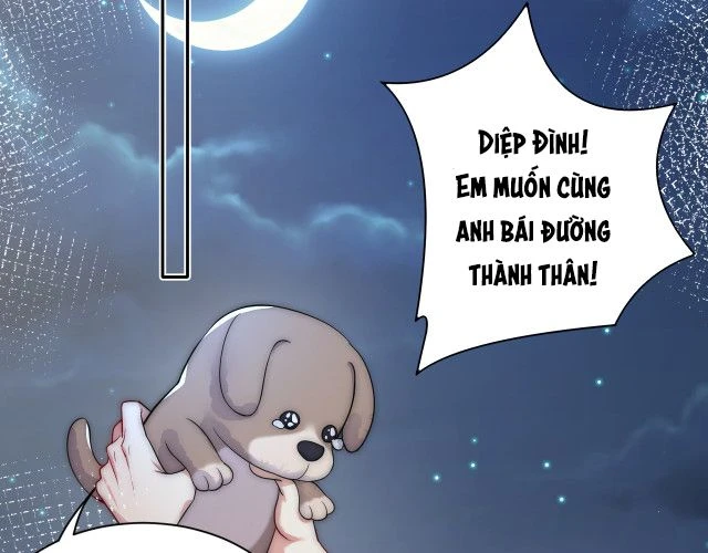 Lại Bị Bạn Trai Cũ Nhắm Đến Rồi Chapter 6 - 58