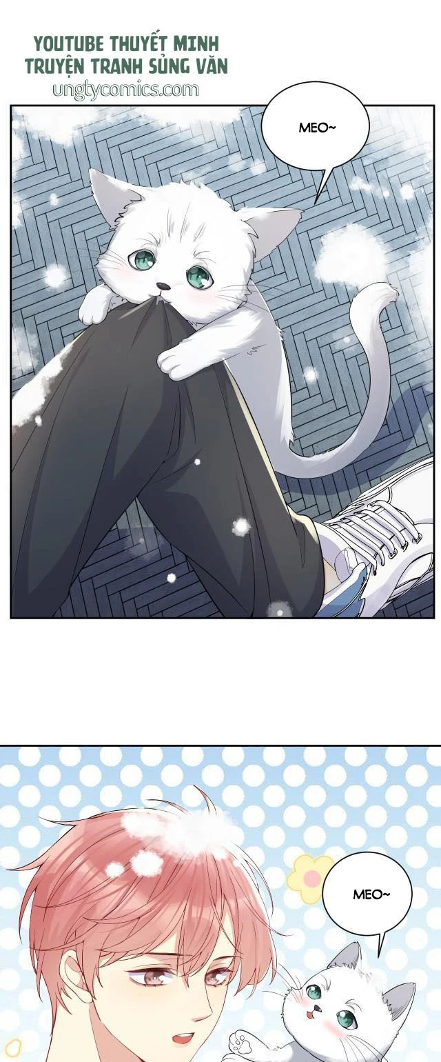 Lại Bị Bạn Trai Cũ Nhắm Đến Rồi Chapter 8 - 12