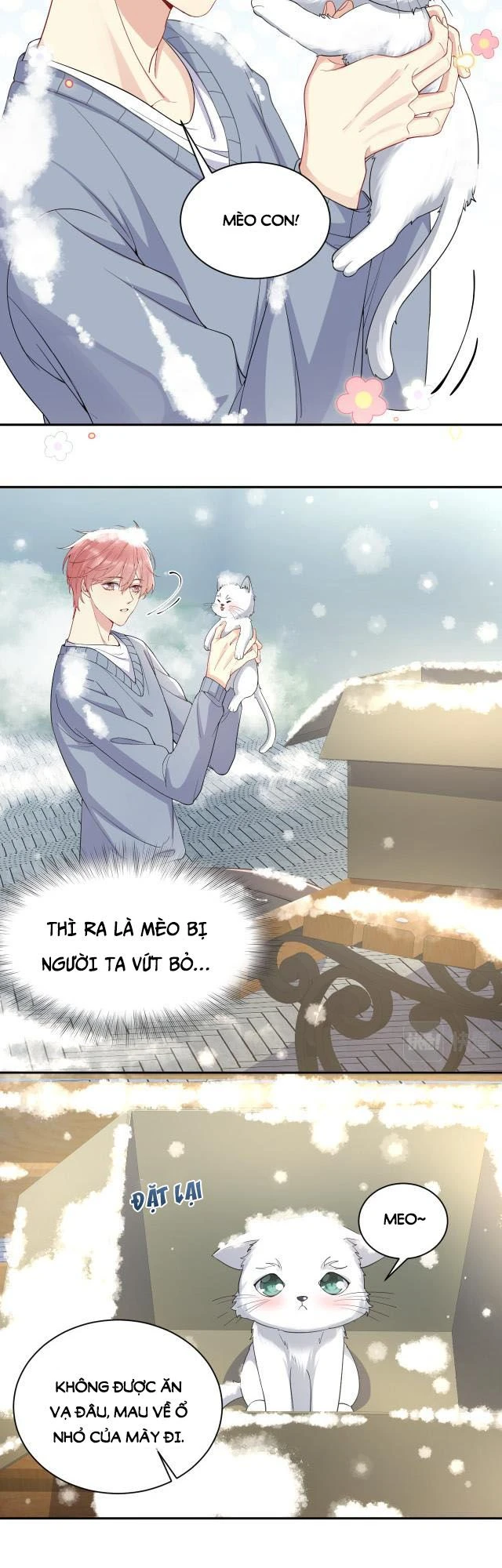 Lại Bị Bạn Trai Cũ Nhắm Đến Rồi Chapter 8 - 13