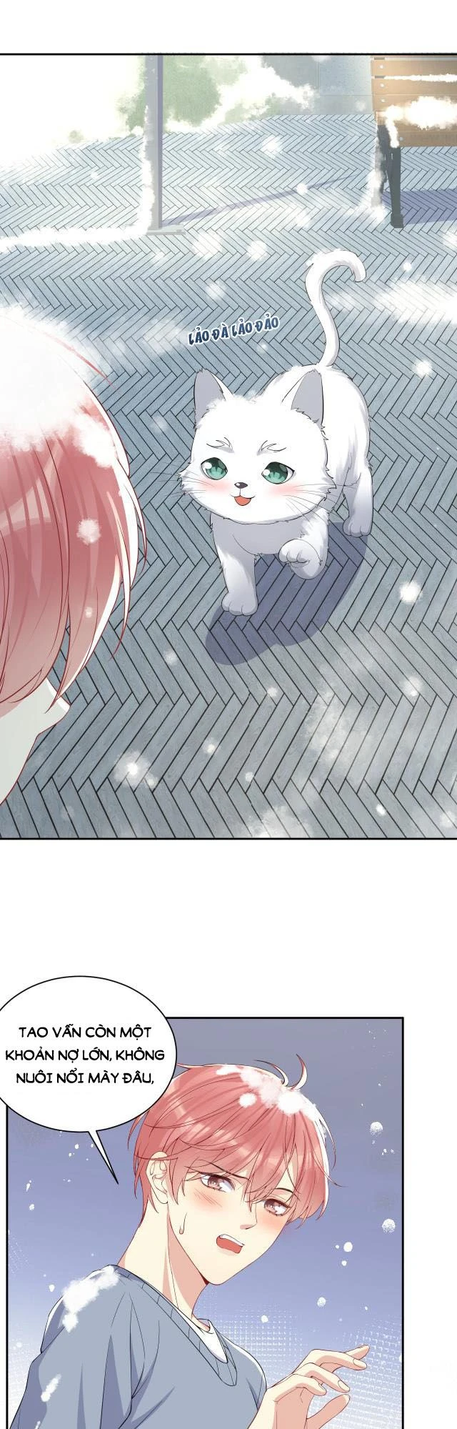 Lại Bị Bạn Trai Cũ Nhắm Đến Rồi Chapter 8 - 15