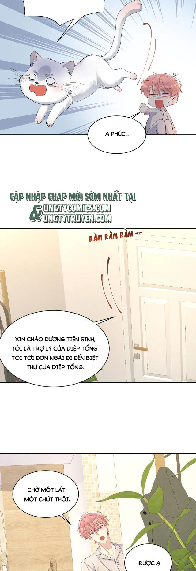 Lại Bị Bạn Trai Cũ Nhắm Đến Rồi Chapter 12 - 17