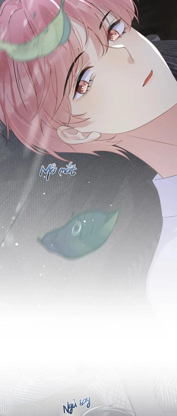 Lại Bị Bạn Trai Cũ Nhắm Đến Rồi Chapter 24 - 22