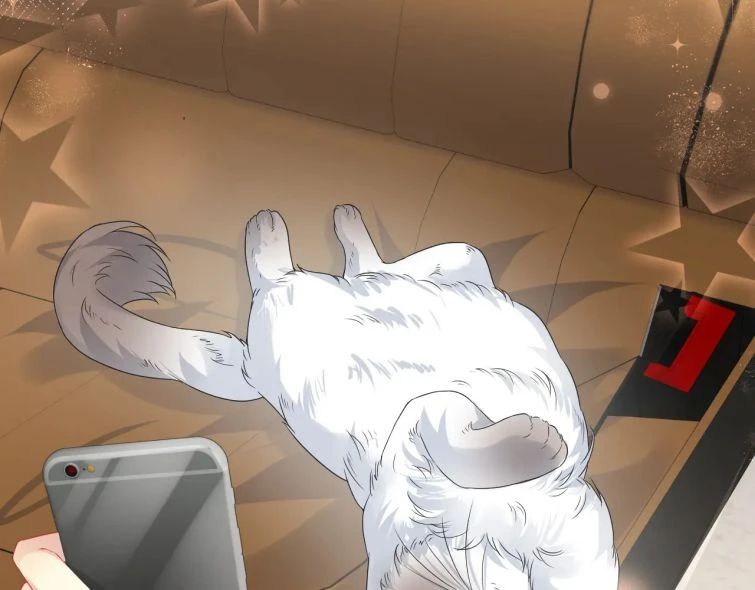 Lại Bị Bạn Trai Cũ Nhắm Đến Rồi Chapter 62 - 13