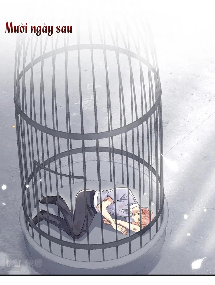 Lại Bị Bạn Trai Cũ Nhắm Đến Rồi Chapter 72 - 4