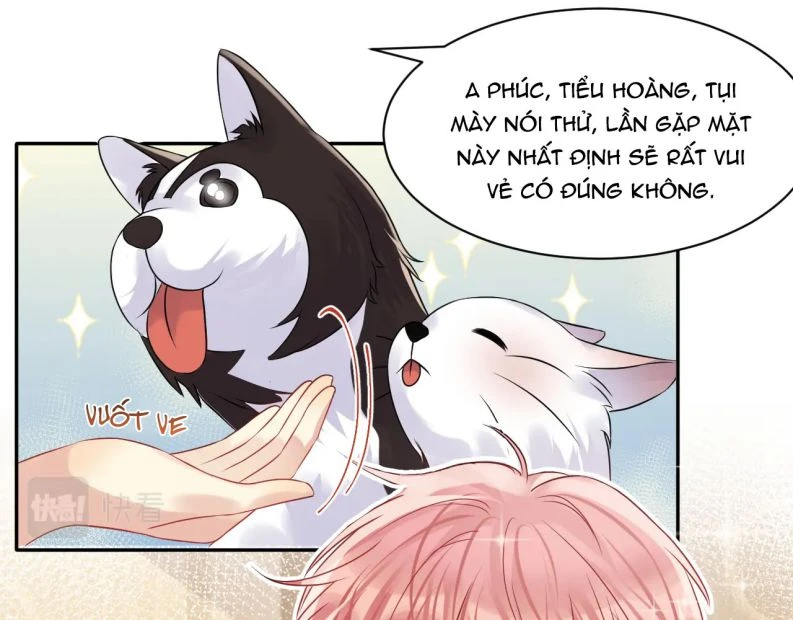 Lại Bị Bạn Trai Cũ Nhắm Đến Rồi Chapter 102 - 12