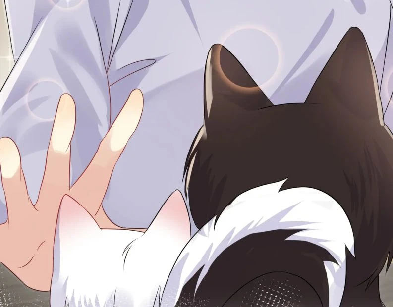 Lại Bị Bạn Trai Cũ Nhắm Đến Rồi Chapter 102 - 14