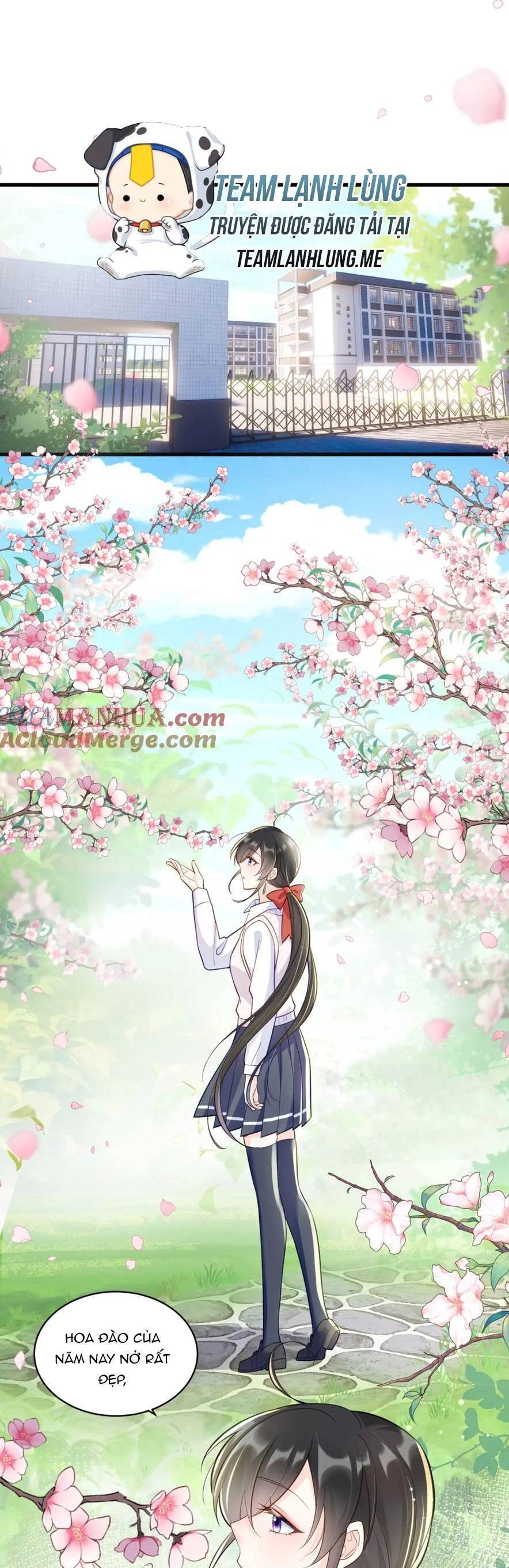 Lão Tổ Tông Vừa Xinh Vừa Ngầu Chapter 31 - 4