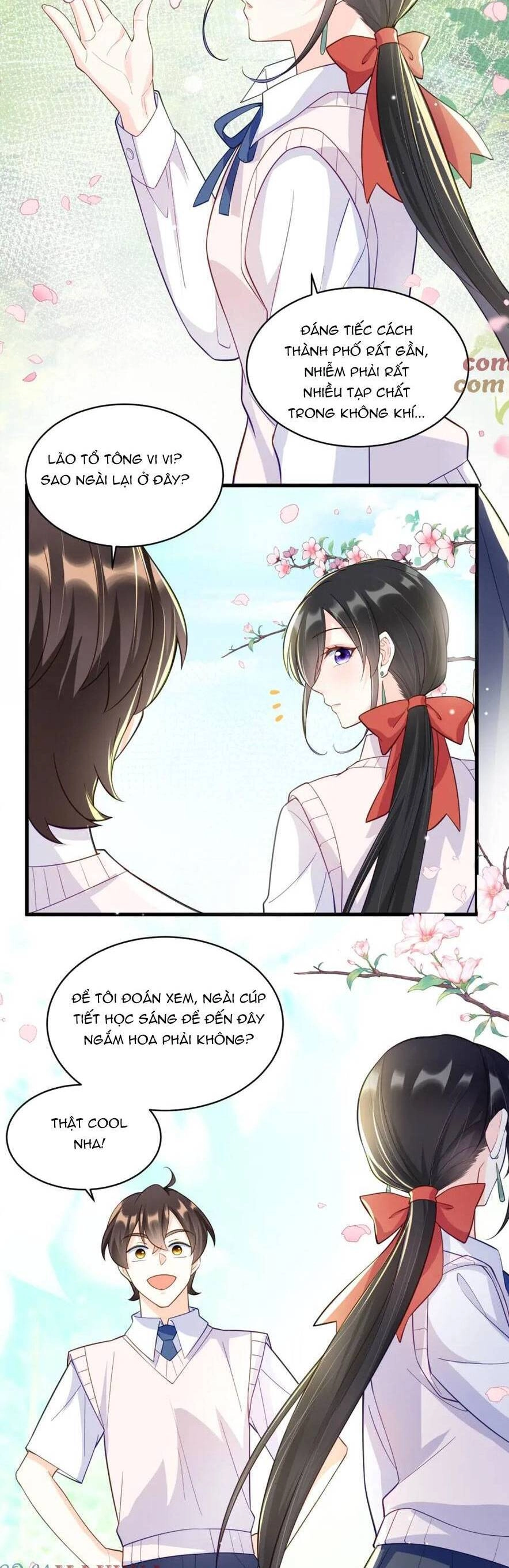 Lão Tổ Tông Vừa Xinh Vừa Ngầu Chapter 31 - 5