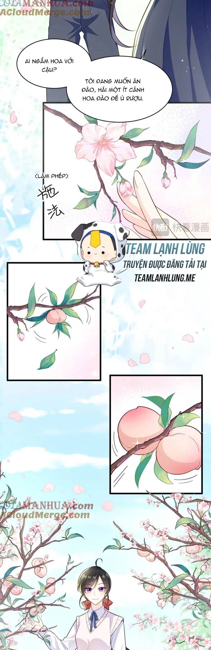Lão Tổ Tông Vừa Xinh Vừa Ngầu Chapter 31 - 6