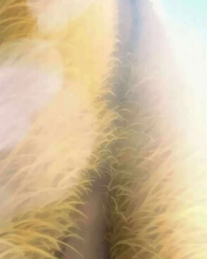 Đại Ma Pháp Sư Chăn Cừu Chapter 12 - 122