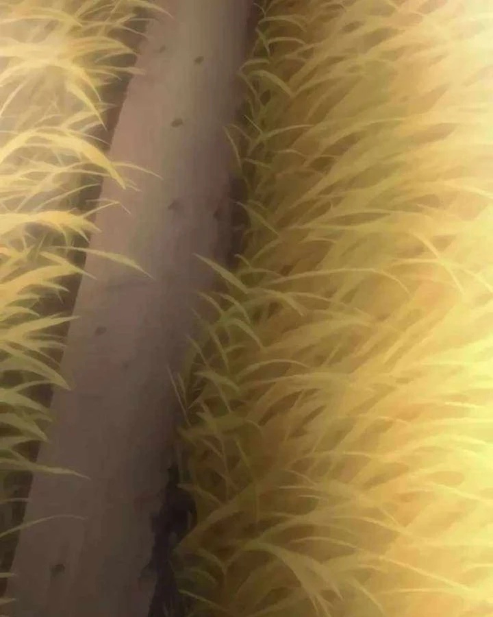 Đại Ma Pháp Sư Chăn Cừu Chapter 12 - 123