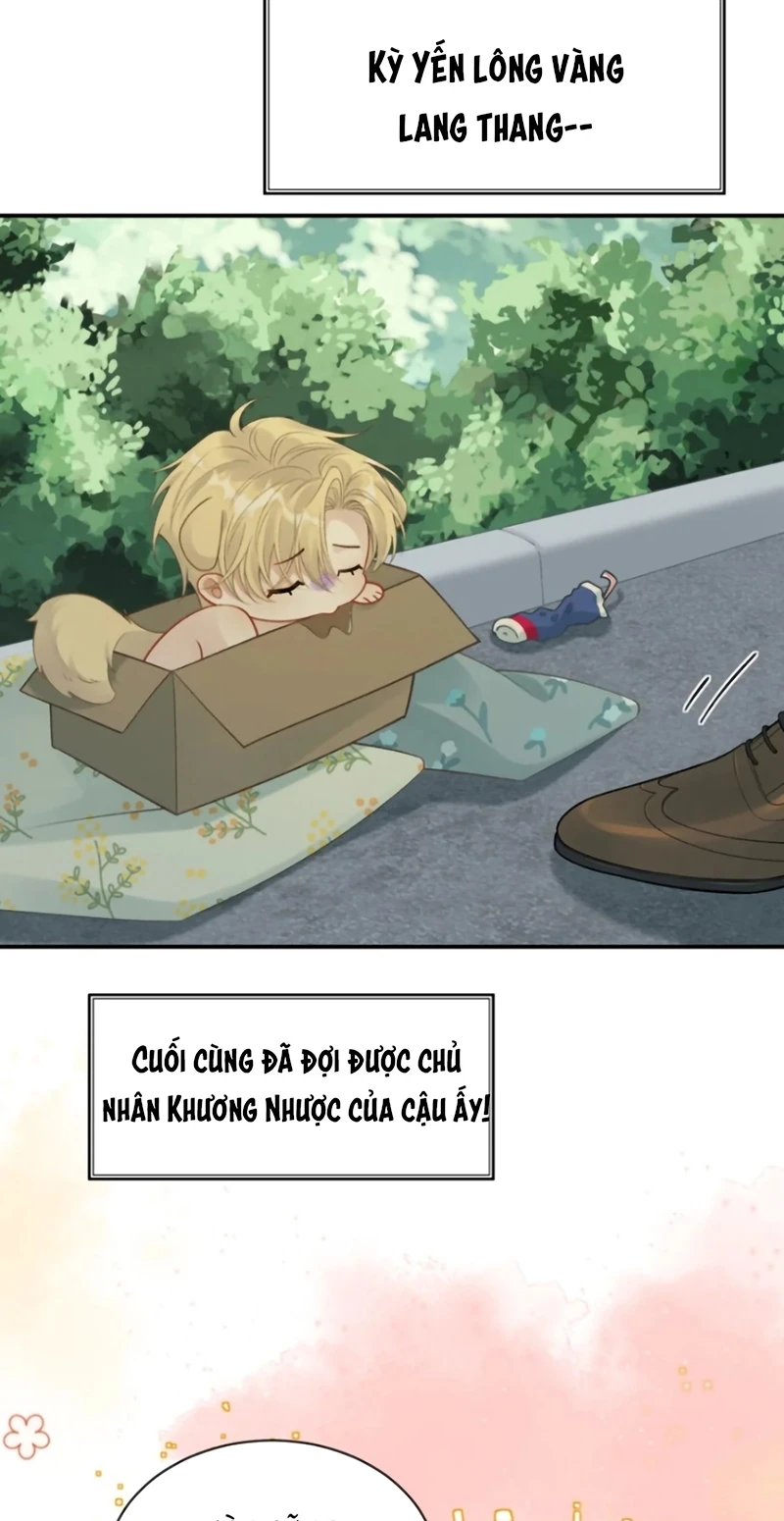 Xin Chào! Hệ Thống Quý Nhân Xin Được Phục Vụ Bạn Chapter 31 - 51