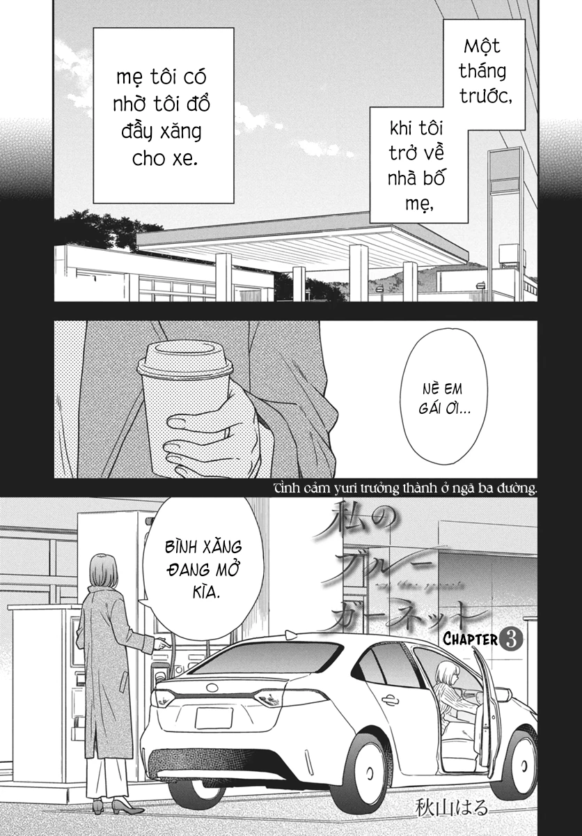 Viên Đá Ngọc Lựu Xanh Biếc Của Tôi Chapter 3 - 2