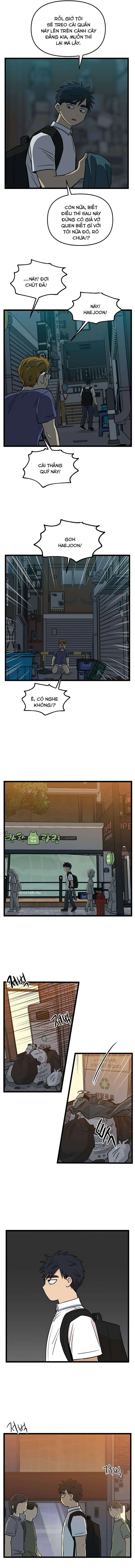 I Have No Home Chapter 145 - 8
