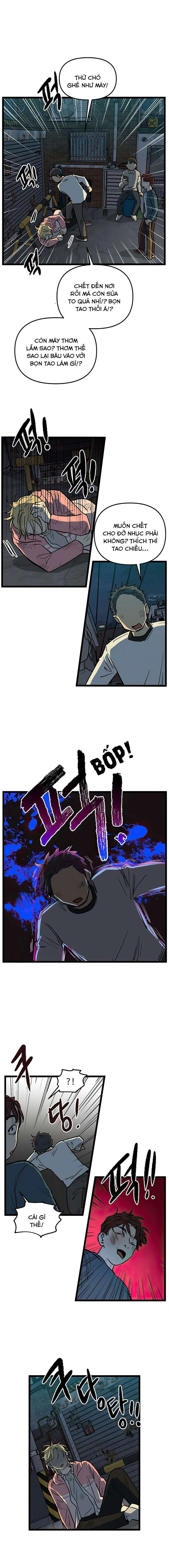I Have No Home Chapter 154 - 10