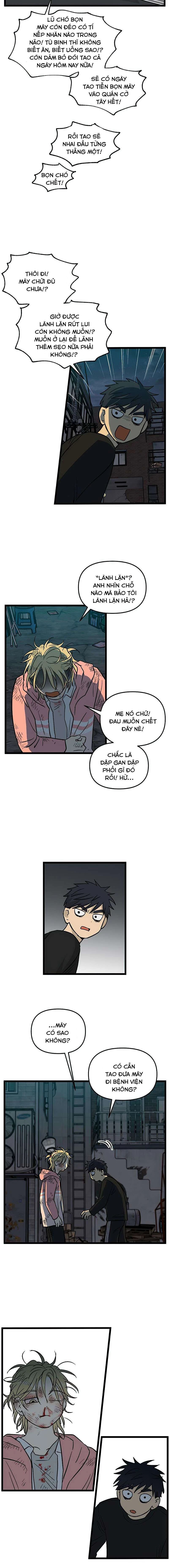 I Have No Home Chapter 155 - 3
