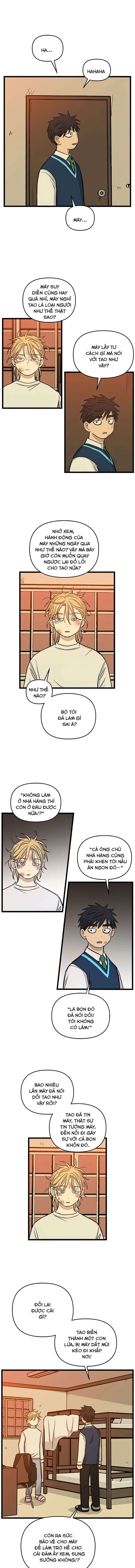 I Have No Home Chapter 157 - 3